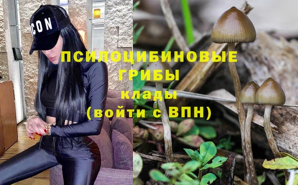 винт Нея